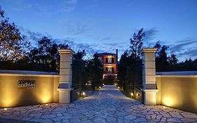 Anthias Garden
